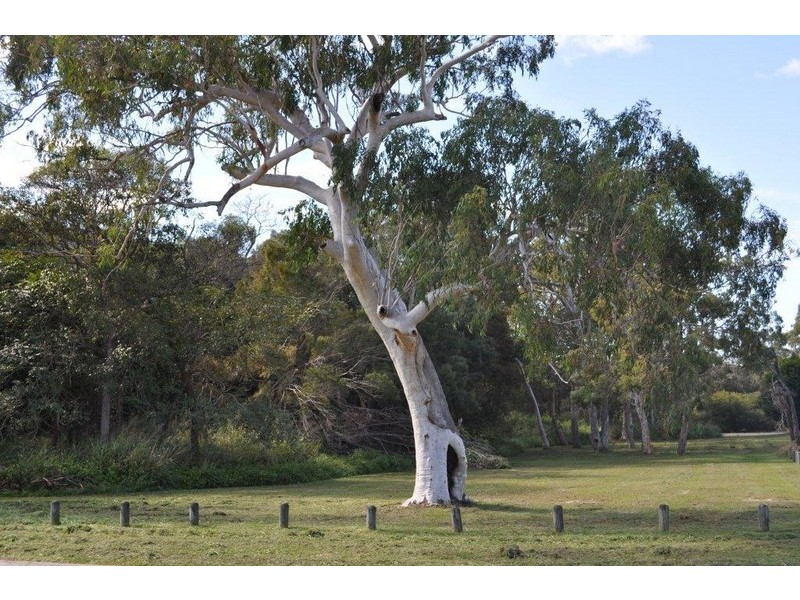 2 Creswick Place, Birkdale QLD 4159