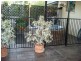 107 Boundary Road, Thornlands QLD 4164