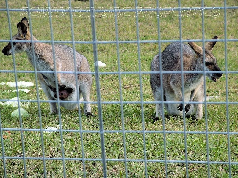 3 Lillypilly Street, Mount Cotton QLD 4165