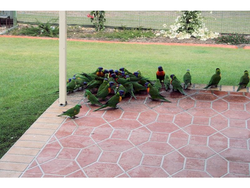 3 Lillypilly Street, Mount Cotton QLD 4165