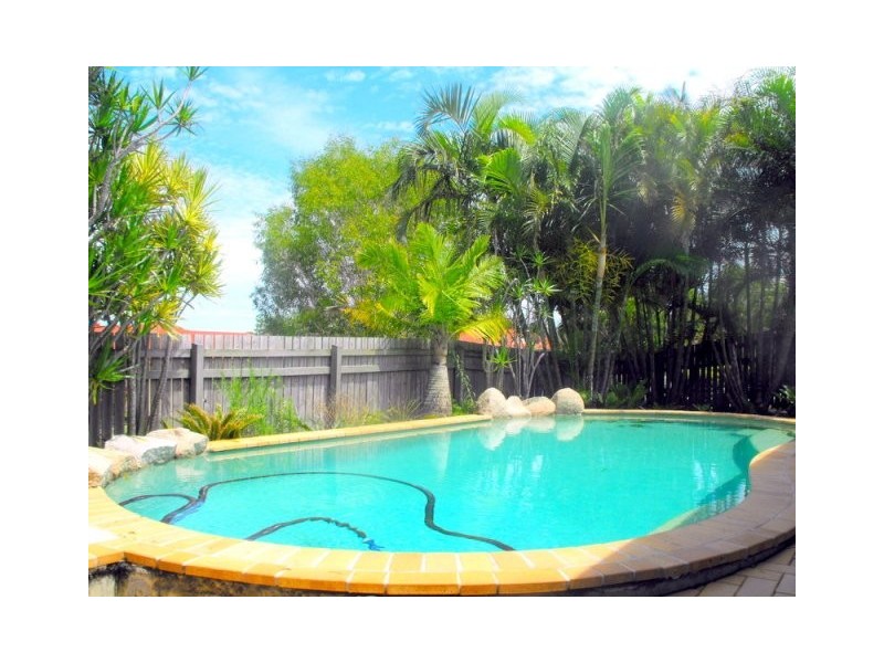 3 Sailfish Avenue, Birkdale QLD 4159