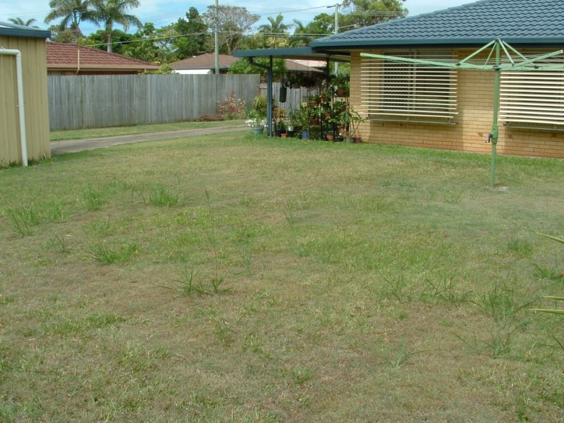 30 Arlington Street, Cleveland QLD 4163