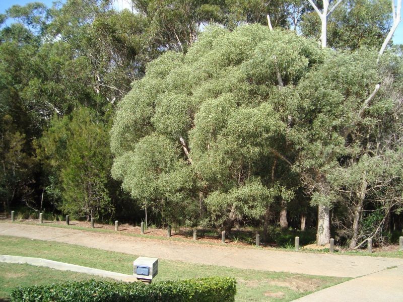 4 Coolum Crt, Redland Bay QLD 4165