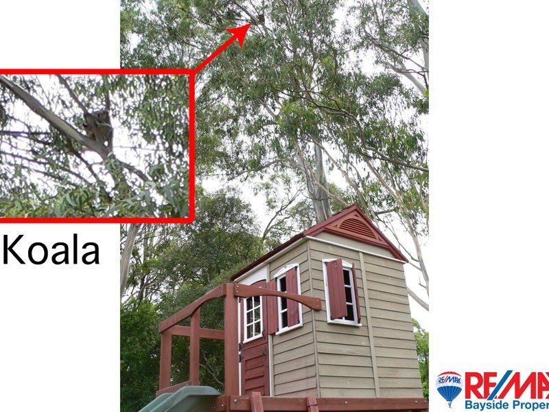 26 Pentecost Pl, Redland Bay QLD 4165