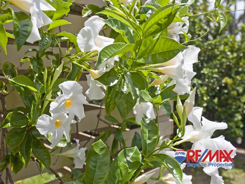 Alexandra Hills QLD 4161