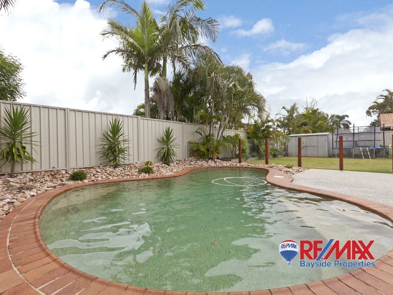 17 Zephyr Court, Birkdale QLD 4159