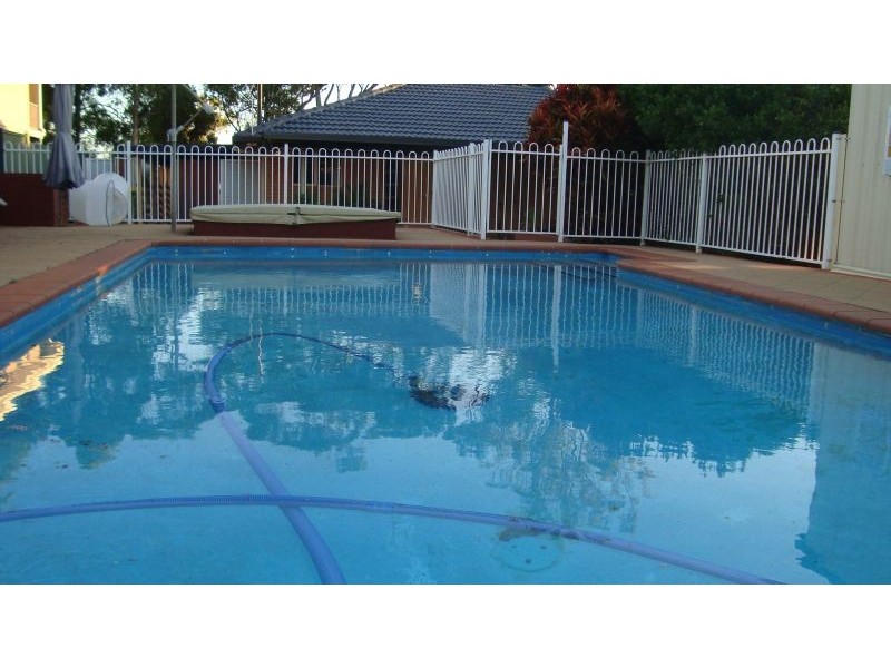 50 Babiana, Alexandra Hills QLD 4161