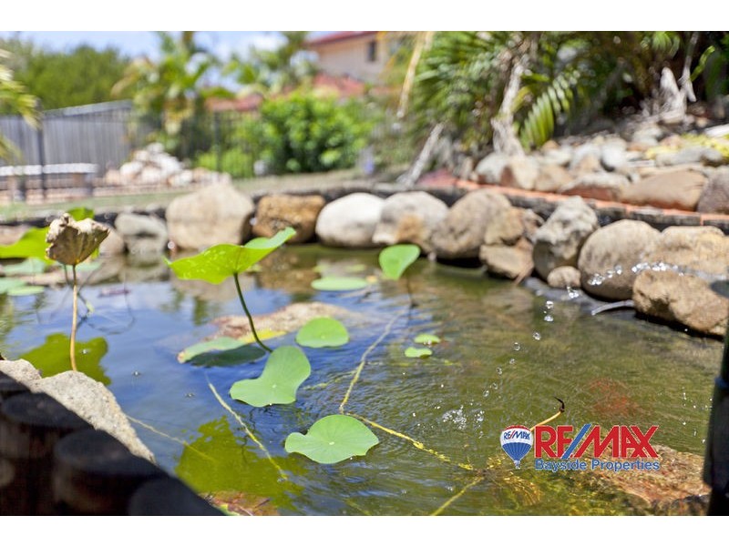 42 Jasper Street, Wellington Point QLD 4160