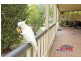 7 Silverash Court, Capalaba QLD 4157