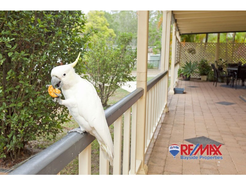 7 Silverash Court, Capalaba QLD 4157