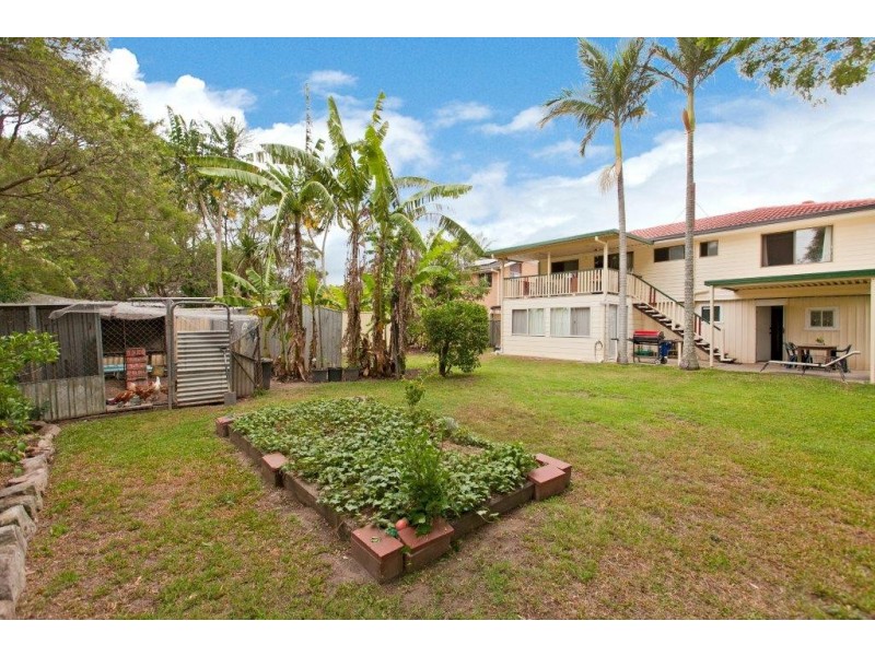 18 Maranta Street, Alexandra Hills QLD 4161