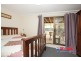 Alexandra Hills QLD 4161