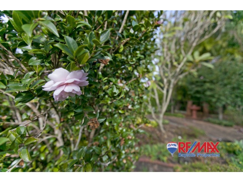 6 Hilliard Street, Ormiston QLD 4160