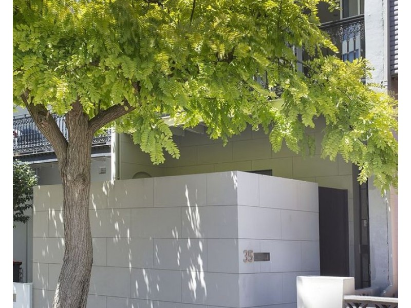 35 Comber Street, Paddington NSW 2021