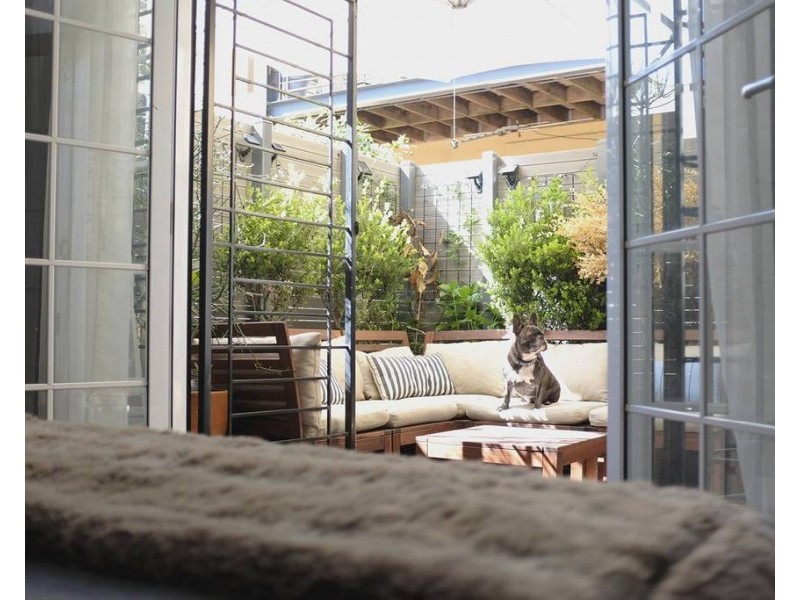 2/139A Regent Street, Chippendale NSW 2008