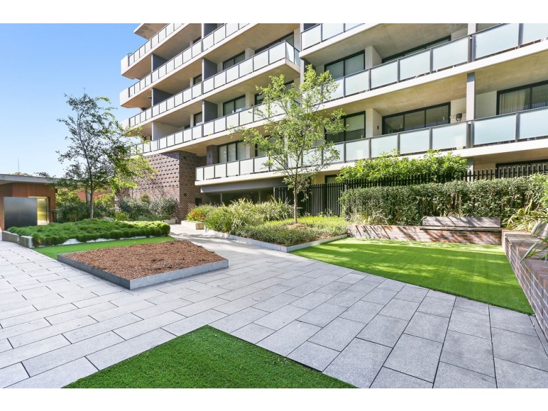 3B/356 George Street, Waterloo NSW 2017