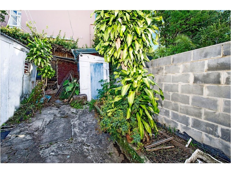 54 Underwood Street, Paddington NSW 2021