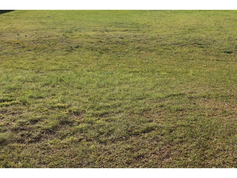 149 Fellows Road, Point Lonsdale VIC 3225