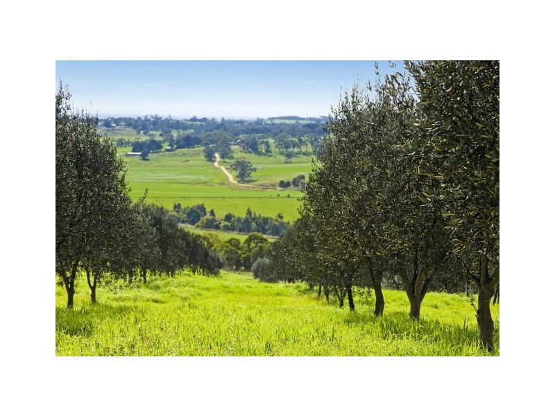 45 Old Lorne Road, Deans Marsh VIC 3235