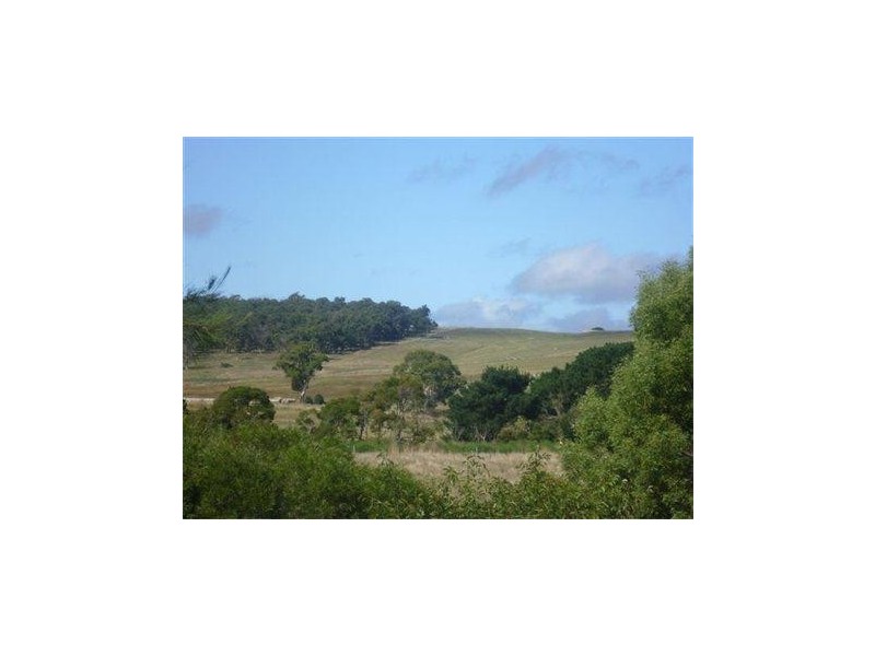 2251 Winchelsea Rd, Deans Marsh VIC 3235