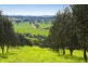 45 Old Lorne Road, Deans Marsh VIC 3235