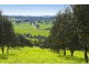 45 Old Lorne Road, Deans Marsh VIC 3235