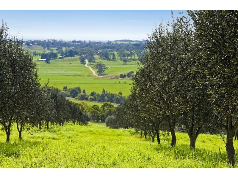 45 Old Lorne Road, Deans Marsh VIC 3235