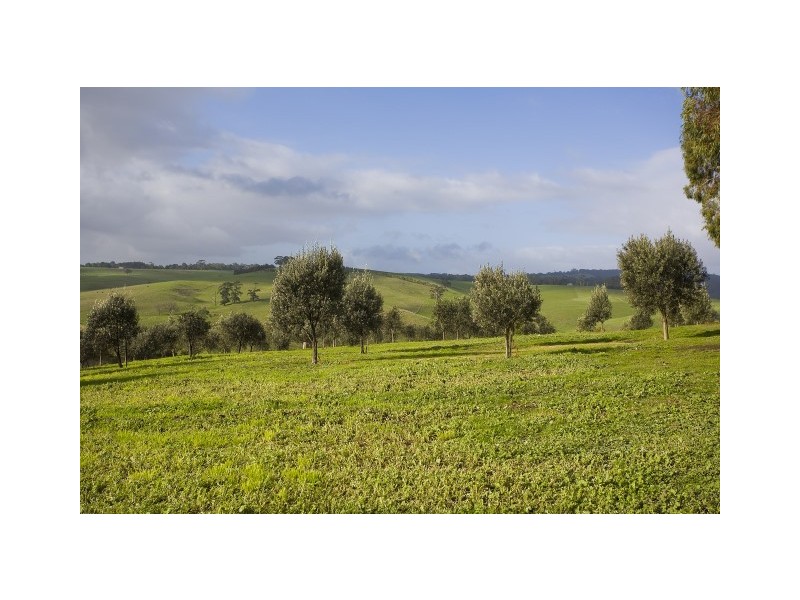 45 Old Lorne Road, Deans Marsh VIC 3235