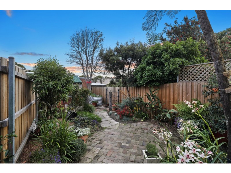 36 Wells Street, Newtown NSW 2042