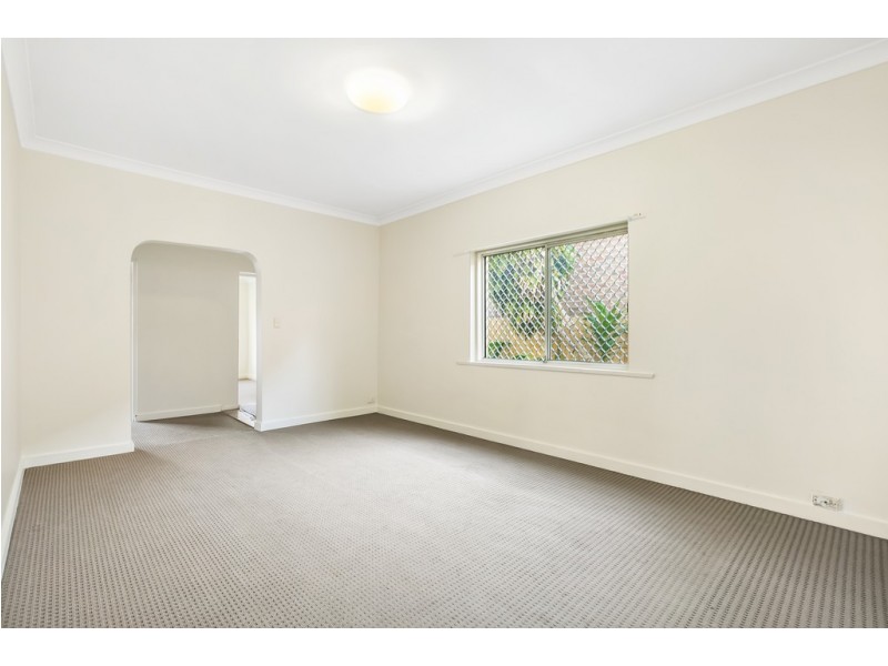17 Heighway Avenue, Ashfield NSW 2131