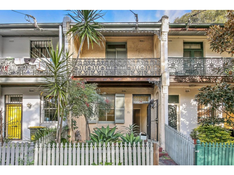 37 Calder Road, Darlington NSW 2008