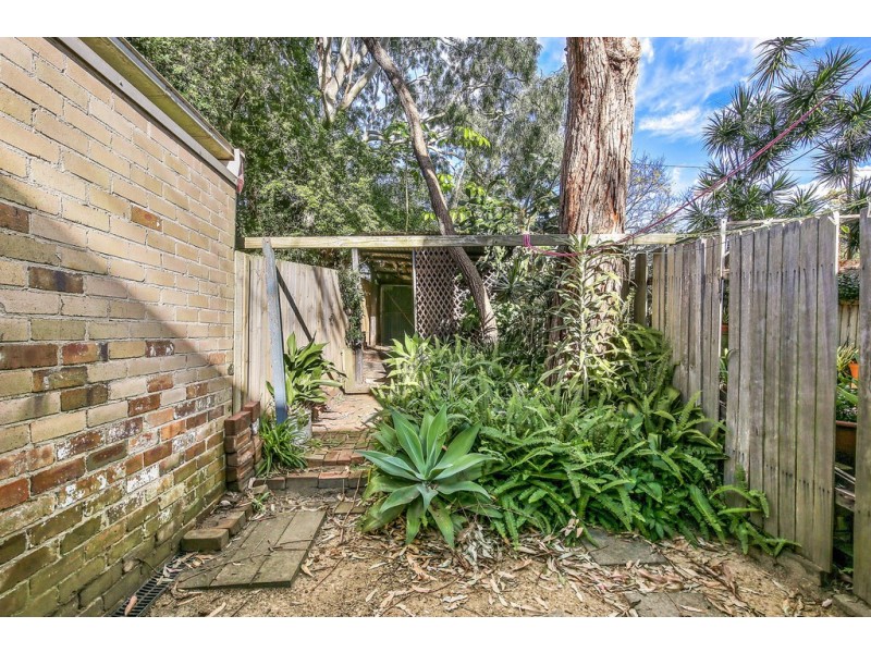 37 Calder Road, Darlington NSW 2008