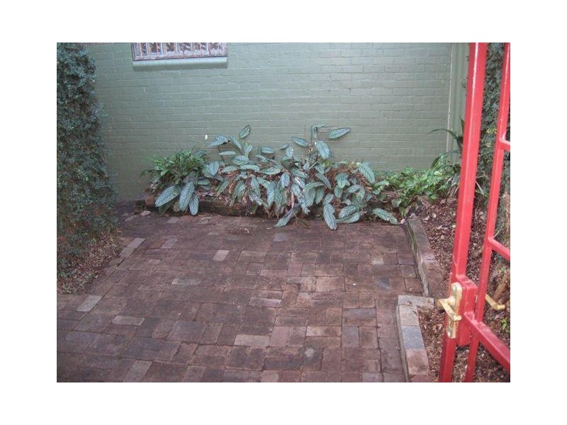 51 Gladstone Street, Enmore NSW 2042