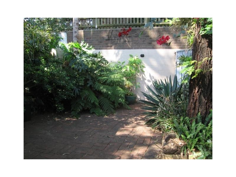 10 Alice Avenue, Newtown NSW 2042