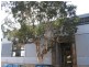 11/466 Wilson Street, Darlington NSW 2008