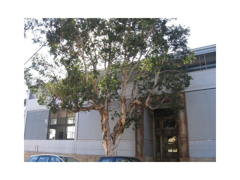 11/466 Wilson Street, Darlington NSW 2008