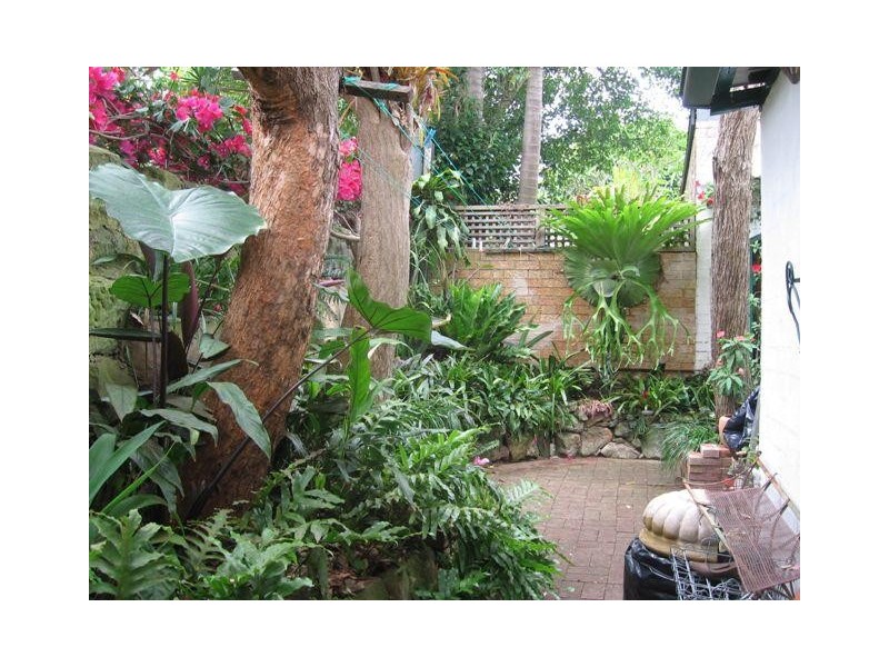 44 Reiby Street, Newtown NSW 2042