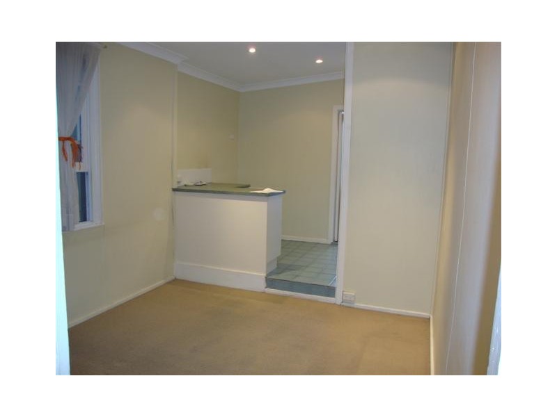 29 Campbell Street, Newtown NSW 2042