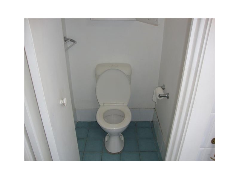 29 Campbell Street, Newtown NSW 2042