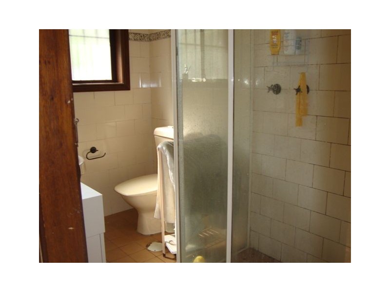 29 Albert Street, Newtown NSW 2042