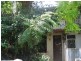 81 Edward Street, Darlington NSW 2008