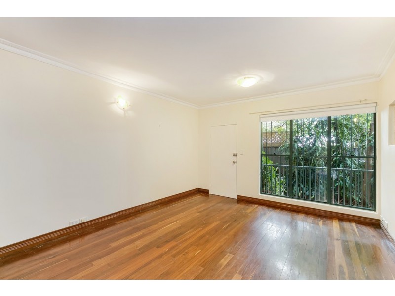 45 Macdonald Street, Erskineville NSW 2043