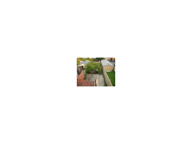 2/59 Wilson Street, Newtown NSW 2042