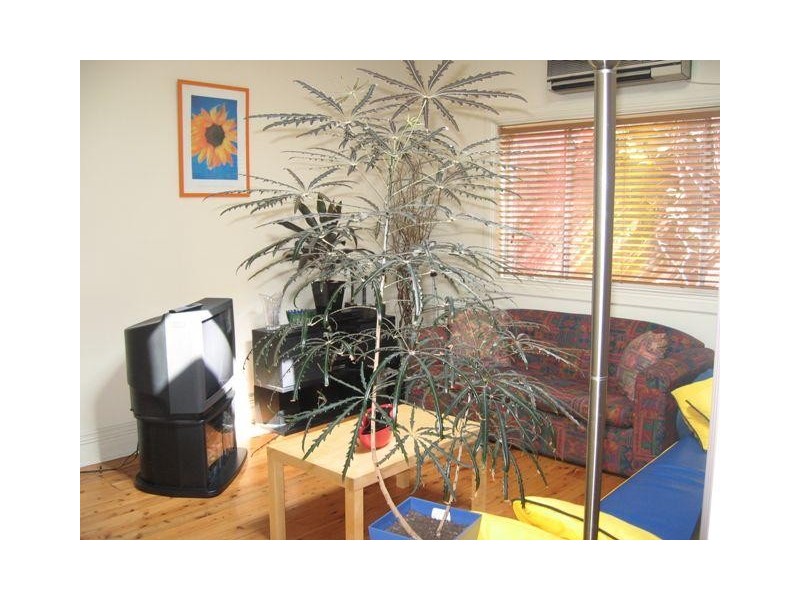 7 Edgar Street, Tempe NSW 2044