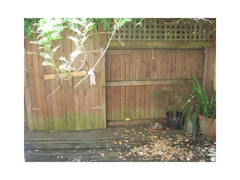 5 Rose Street, Chippendale NSW 2008