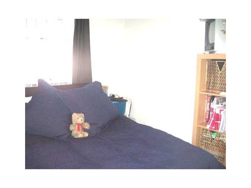 14 Fitzroy Street, Newtown NSW 2042