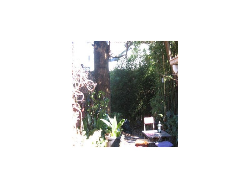 10 Hordern Street, Newtown NSW 2042