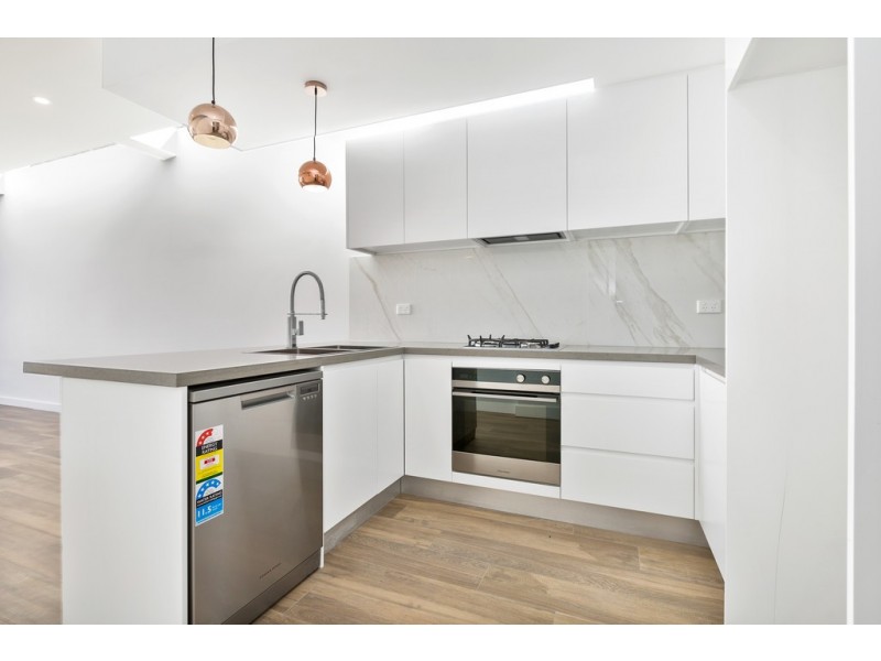 46B Grove Street, St Peters NSW 2044