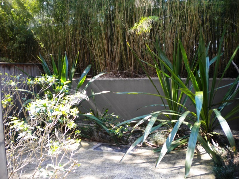 13/20 Fitzgerald Street, Newtown NSW 2042