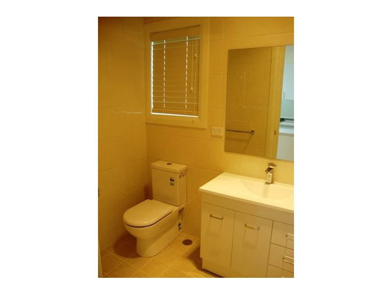 117 Trafalgar Street, Stanmore NSW 2048